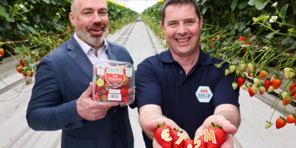 Dublin-Based Sunglow Nurseries Signs New €7.5m Deal with Aldi Ireland