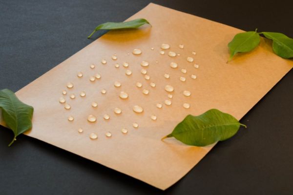 Smurfit Kappa Develops New Sustainable Water-Resistant Paper
