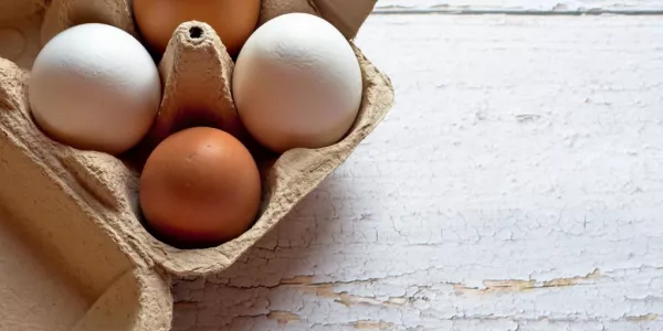 Britain To Review Horticulture And Egg Supply Chains