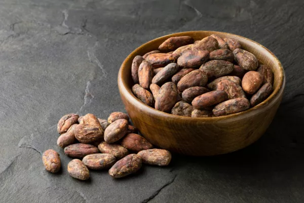 Ivorian Cocoa Exporters Rejecting Half Of Beans Due To Poor Quality