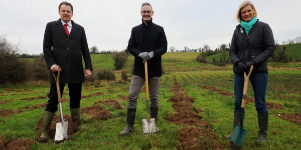 Boots Plants 15,000 Trees To Celebrate 25 Years in Ireland