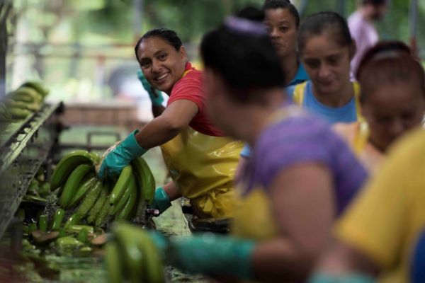 Fyffes Allocates European Donations To Support Charities Targeting Gender-Based Violence