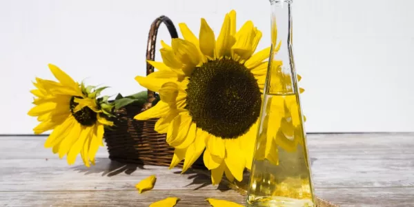 Sunflower Oil Prices Slide On Resumed Ukraine Supplies