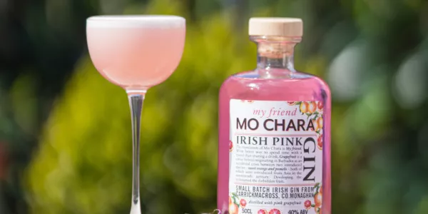 Aldi Introduces Two Exclusive Gins From Old Carrick Mill Distillery, Co. Monaghan