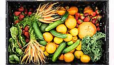 Total Produce Acquires 45% Stake In California Fruit Firm