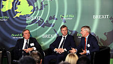 Bord Bia's Brexit Briefing Attracts Over 180 Irish Food & Drink Exporters