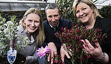 Aldi Grows Range Of 100% Irish Flowers