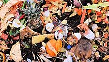 Food Waste To Energy Energy Project Approved For Climate Action Fund