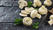 UK ‘Very Important’ For Mushroom Producers Due To Short Shelf Life