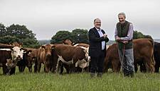 SuperValu Launches Beef Producer Guidelines