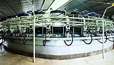 DeLaval Launches Its Latest Rotary Milking System In The UK And Ireland