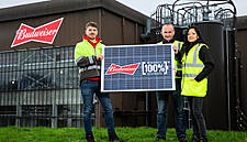 British Brewed Budweiser Beer To Rely On Solar Power From 2020