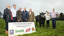 Aldi Extends Sponsorship Of Angus All Ireland Bull Calf Championships