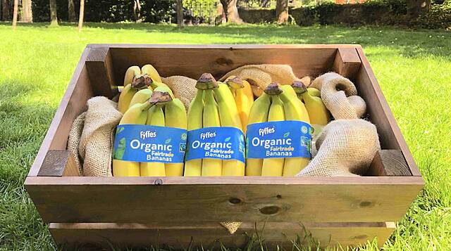 Fyffes Ireland Introduces New Reduced-Packaging Banana Band