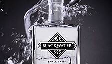 Drink Industry's First Gin Garden Wins Gold At Bloom Festival