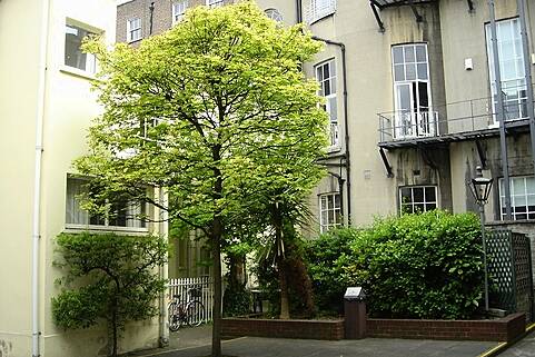 Office Suites To Let, Fitzwilliam Street Lower, Dublin 2, Dublin, Ireland, DUB6462