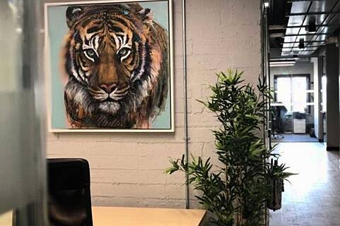 Serviced Office Suites, The Cubes, Sandyford, Dublin, Ireland, DUB7591