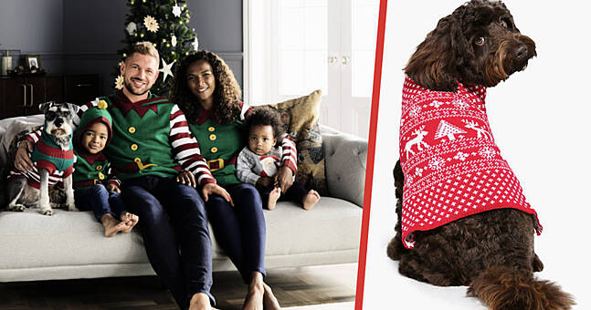matching human and dog xmas jumpers