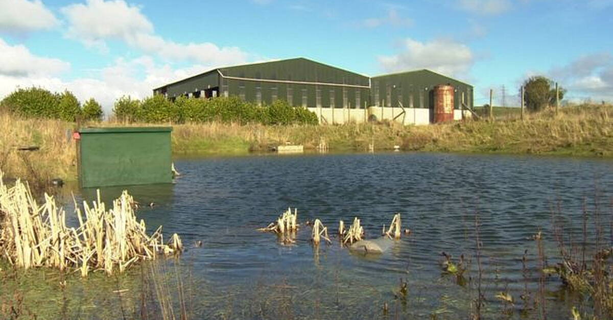 Harkin: DAERA Minister agrees support for Mobuoy superdump health impact assessment - Derry Daily
