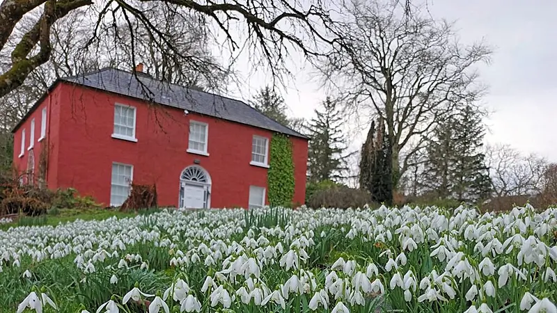 Famous Glebe House emptied of rare contents for conservation works ...