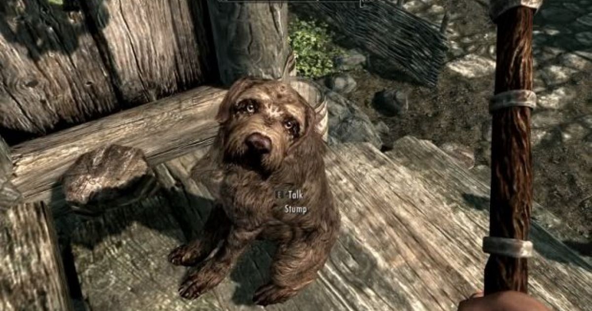 and-now-an-epic-twitter-story-from-a-player-about-adopting-a-dog-in-skyrim