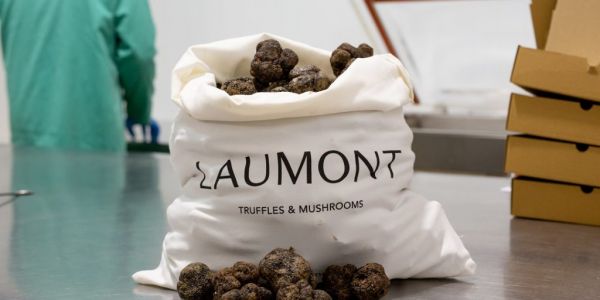 Laumont To Develop New Production Facility In Spain