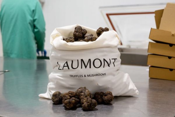 Laumont To Develop New Production Facility In Spain