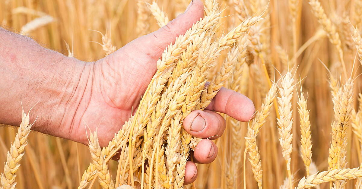 French Farmers' Union Call For End Of Blockades As Protests Spread In Europe - Vimarsana News