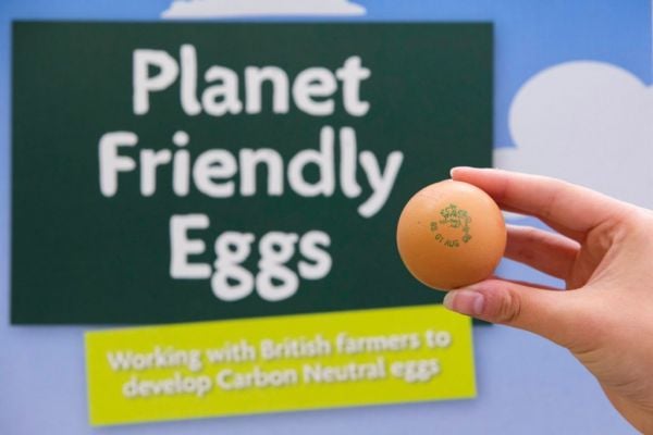 Morrisons Launches Own-Brand, Carbon-Neutral Eggs