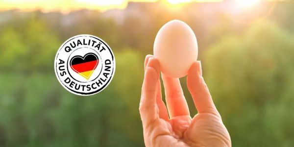 Kaufland To Expand German-Origin Eggs Offering