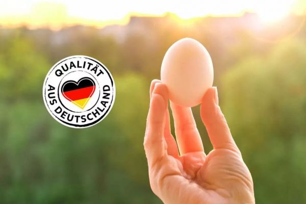 Kaufland To Expand German-Origin Eggs Offering