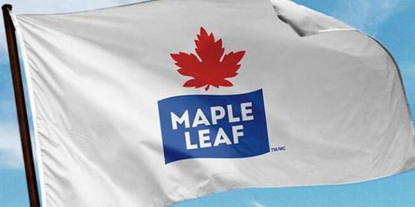 Maple Leaf Foods To Spin Off Pork Business