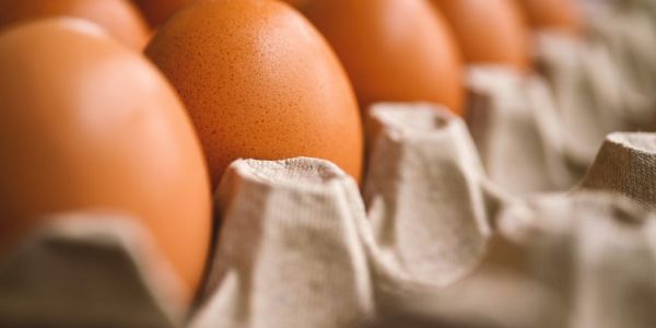 EU To Impose Tariffs On Ukrainian Eggs In Import Curbs