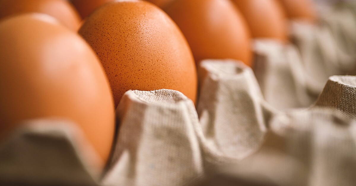 Russia To Exempt Eggs From Import Duties As Prices Climb, Stocks Dwindle - Vimarsana News