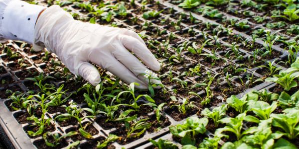 7 Ways Food Technology Is Transforming The Global Food Industry