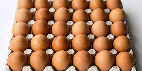 Brazil's JBS Enters Egg Sector, Buys Stake In Mantiqueira