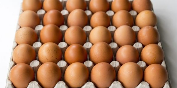 Cal-Maine Foods Halts Egg Production At Texas Facility After Detecting Bird Flu