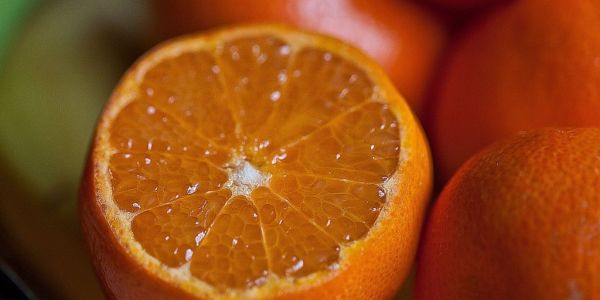 Brazil Orange Juice Heavyweight Citrosuco Launches Food Ingredients Unit