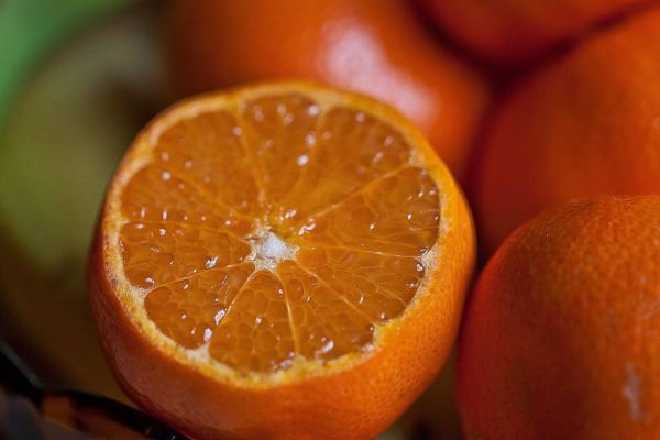 Brazil Orange Juice Heavyweight Citrosuco Launches Food Ingredients Unit