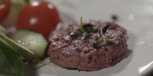 Finnish Research Firm VTT Develops Meat Alternatives