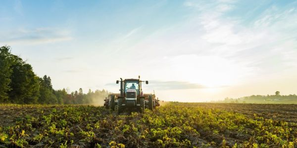 McCain Foods Invests In Digital Agriculture With UNB’s McKenna Institute