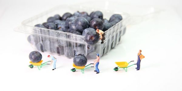 Fresh Food Packaging Market Set To Be Worth €193bn By 2033