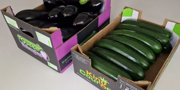 BERDEA SAT Becomes The Biggest Specialised Courgette Producer In Almería