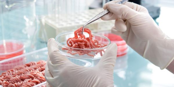 Cultured Meat Market Value To Soar To $20bn: Study