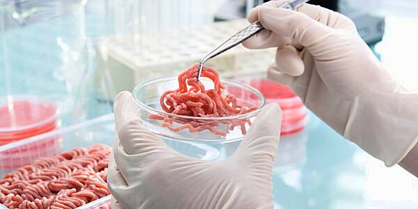 Europe 'Lagging Behind' In Development Of Lab-Grown Meat: Study