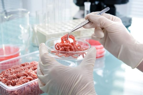 Europe 'Lagging Behind' In Development Of Lab-Grown Meat: Study
