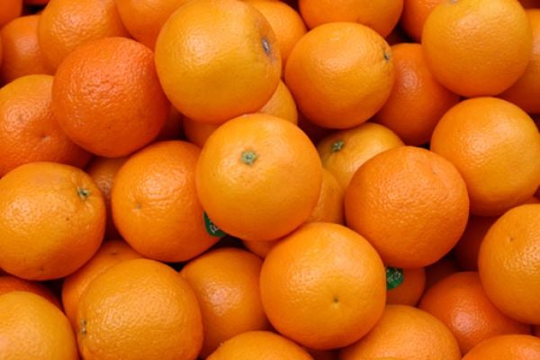 South Africa's Citrus Exports Flat As Infrastructure Woes Sour Season