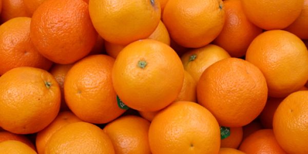 South Africa's Citrus Exports Flat As Infrastructure Woes Sour Season