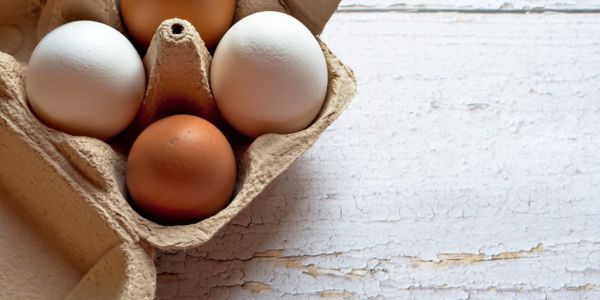 Egg Prices Up By Close To A Third Across European Union