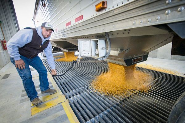 Bunge, Viterra Merger Would Create Global Agriculture Trading Giant